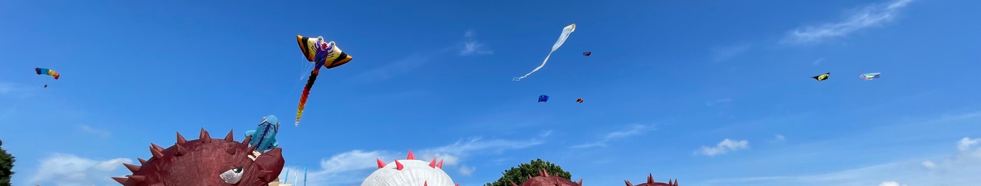 Drachenfest am Speichersee - Veranstaltung in der Gemeinde Geeste