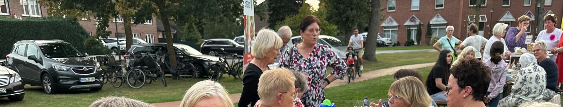 Gemeinschaftspicknick Freiwilligenagentur