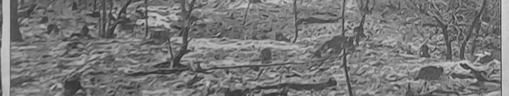 04_sw