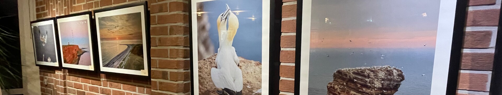 Einblick in die Ausstellung 1 - Gemeinde Geeste