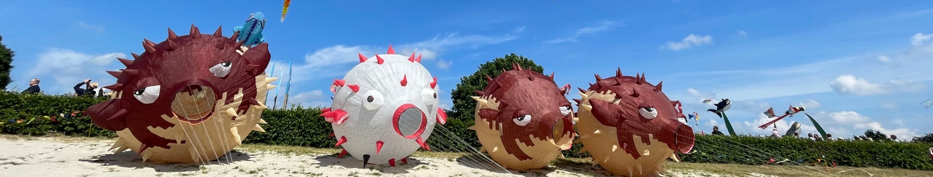 Drachenfest am Speichersee - Veranstaltung in der Gemeinde Geeste