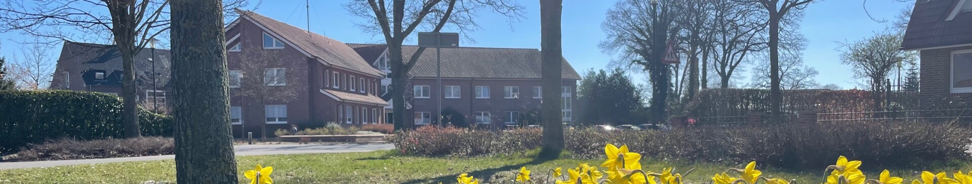 Rathaus im Frühling - Osterglocken Blühstreifen Gemeinde Geeste