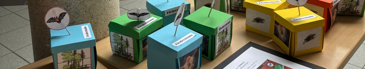 Antoniusschule Naturparkschule Lap-Books und Info-Cubes zum Thema Fledermaus