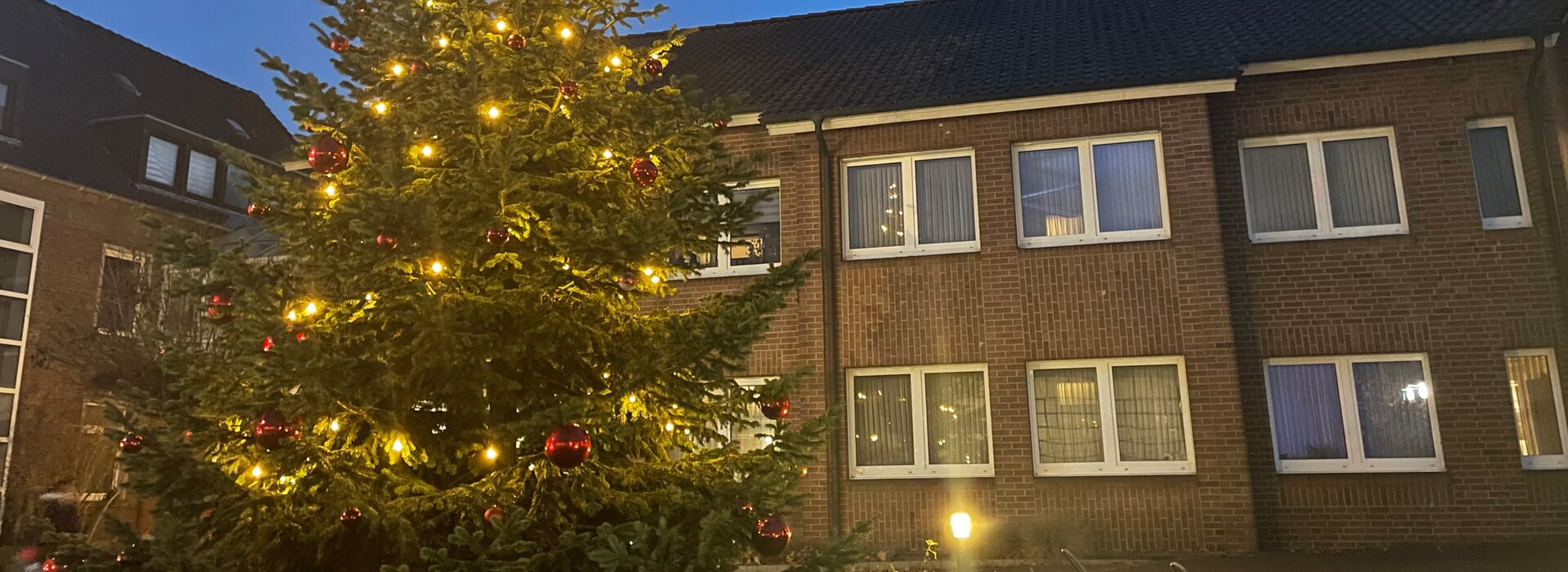 Weihnachtsbaum Lichterglanz vor dem Rathaus  - Gemeinde Geeste QF
