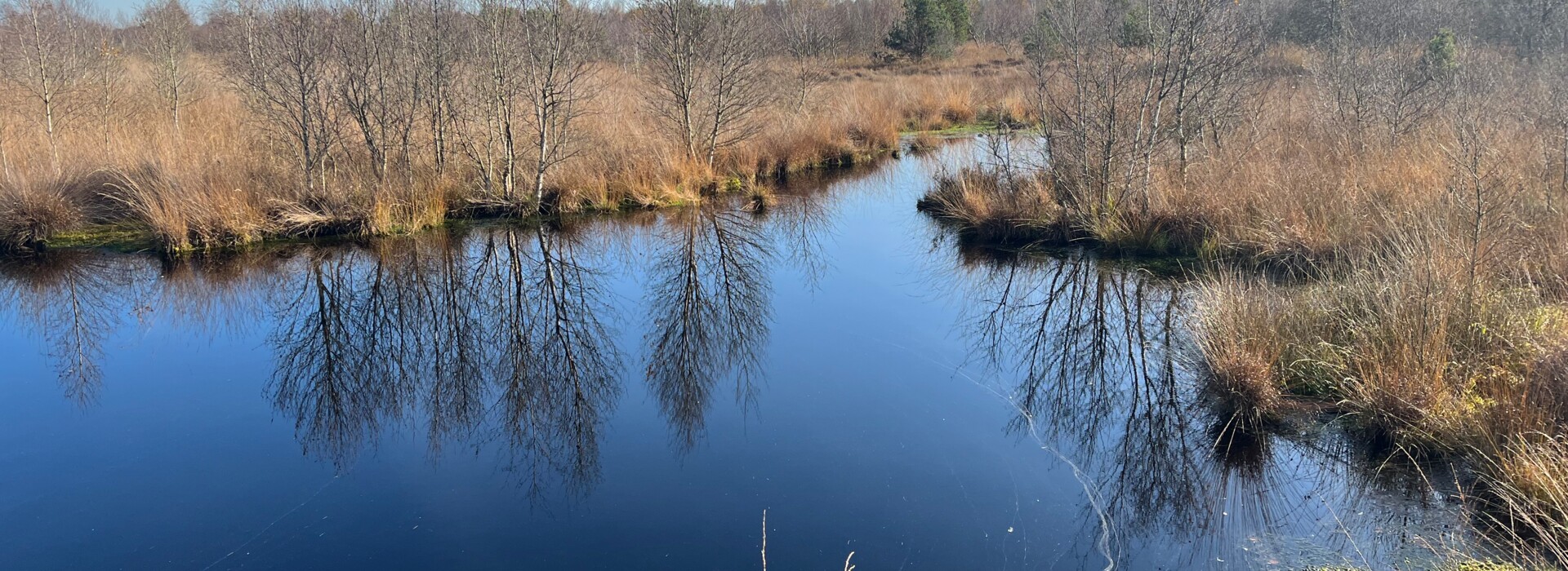 Herbstbild Moor (quer)