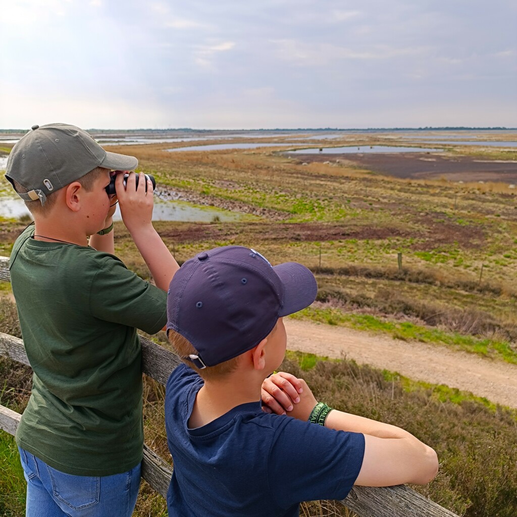 Libellenpfad im Dalum-Wietmarscher Moor_26 ©Naturpark Bourtanger Moor