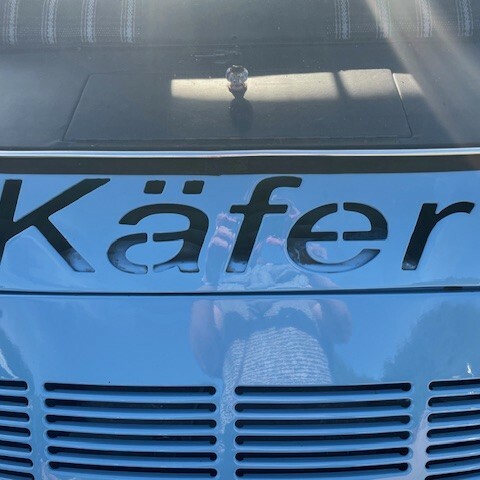 Käfertreffen am Speichersee Geeste 2 - Gemeinde Geeste