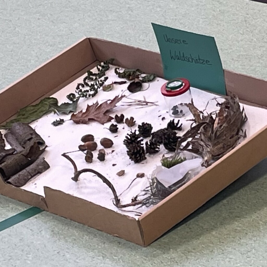 Die Schüler haben ihre Waldschätze zusammengetragen