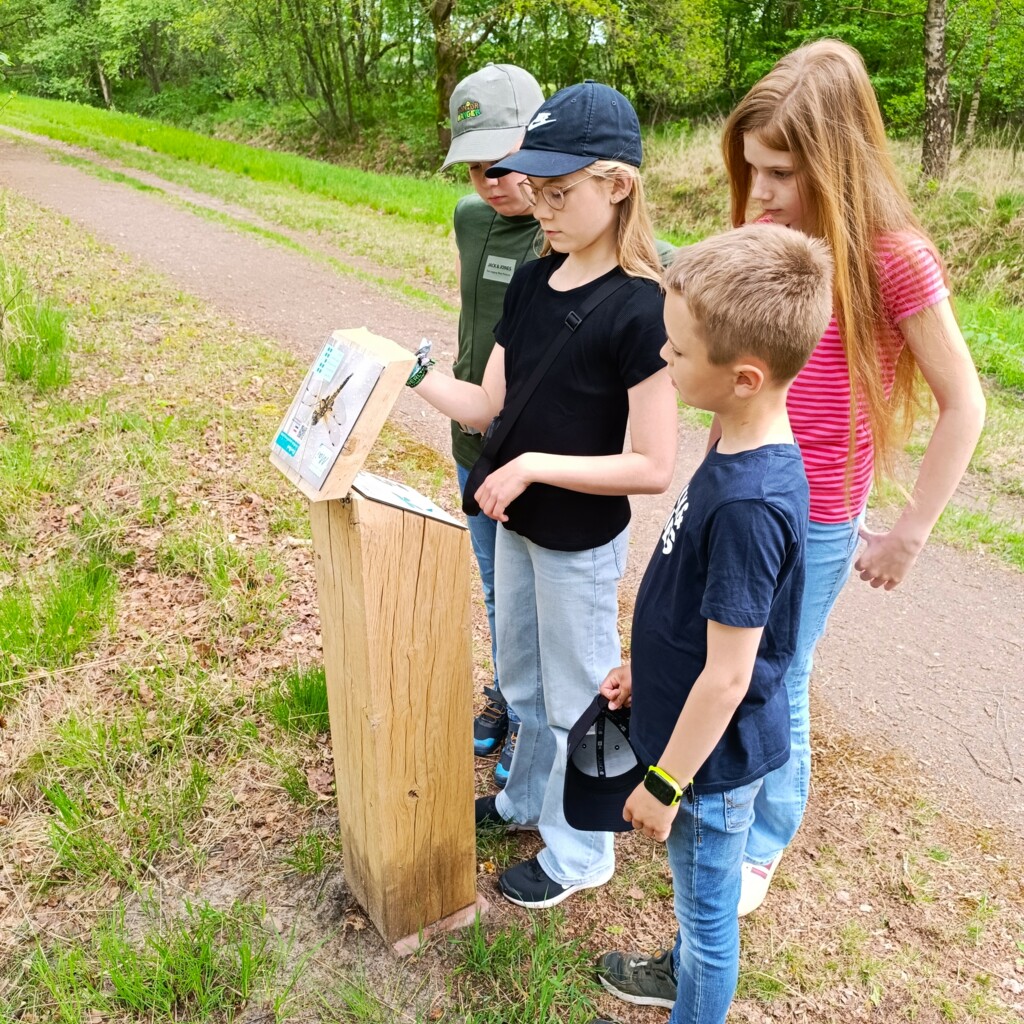 Libellenpfad im Dalum-Wietmarscher Moor_12 ©Naturpark Bourtanger Moor