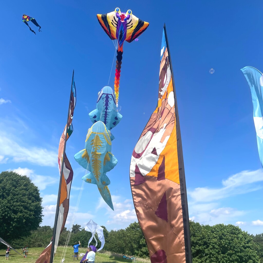 Drachenfest am Speichersee 2024