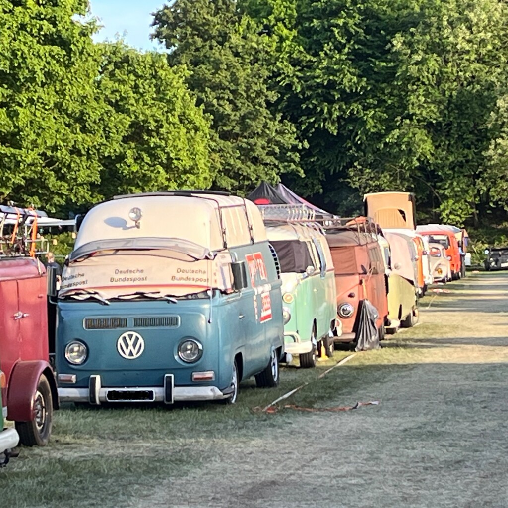 Käfertreffen am Speichersee Geeste 7 - Gemeinde Geeste