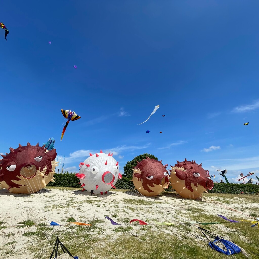 Drachenfest am Speichersee - Veranstaltung in der Gemeinde Geeste