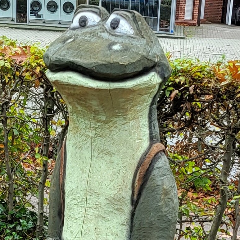 MOORex ist in die Gebrüder-Grimm-Schule in Osterbrock eingezogen