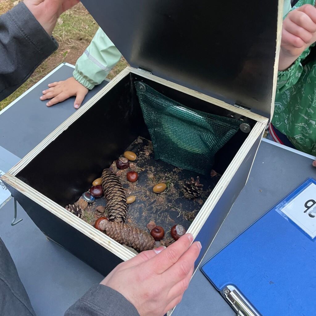 Waldjugendspiele Geeste 2 - Klimaschutz - Gemeinde Geeste