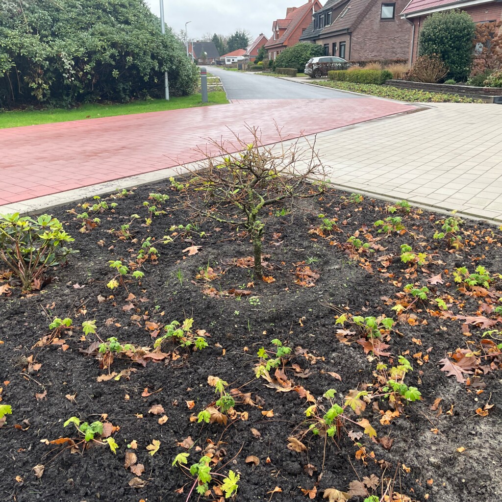 Stettiner Straße Planzarbeiten Gemeinde Geeste