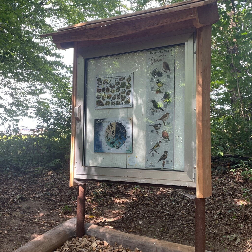 Infotafel heimische Vögel 