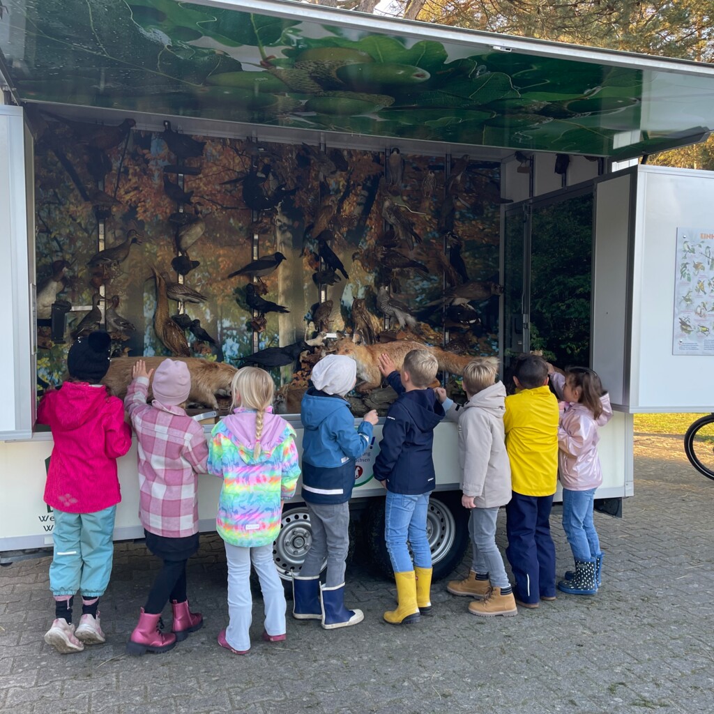 Waldjugendspiele Geeste 1 - Klimaschutz - Gemeinde Geeste