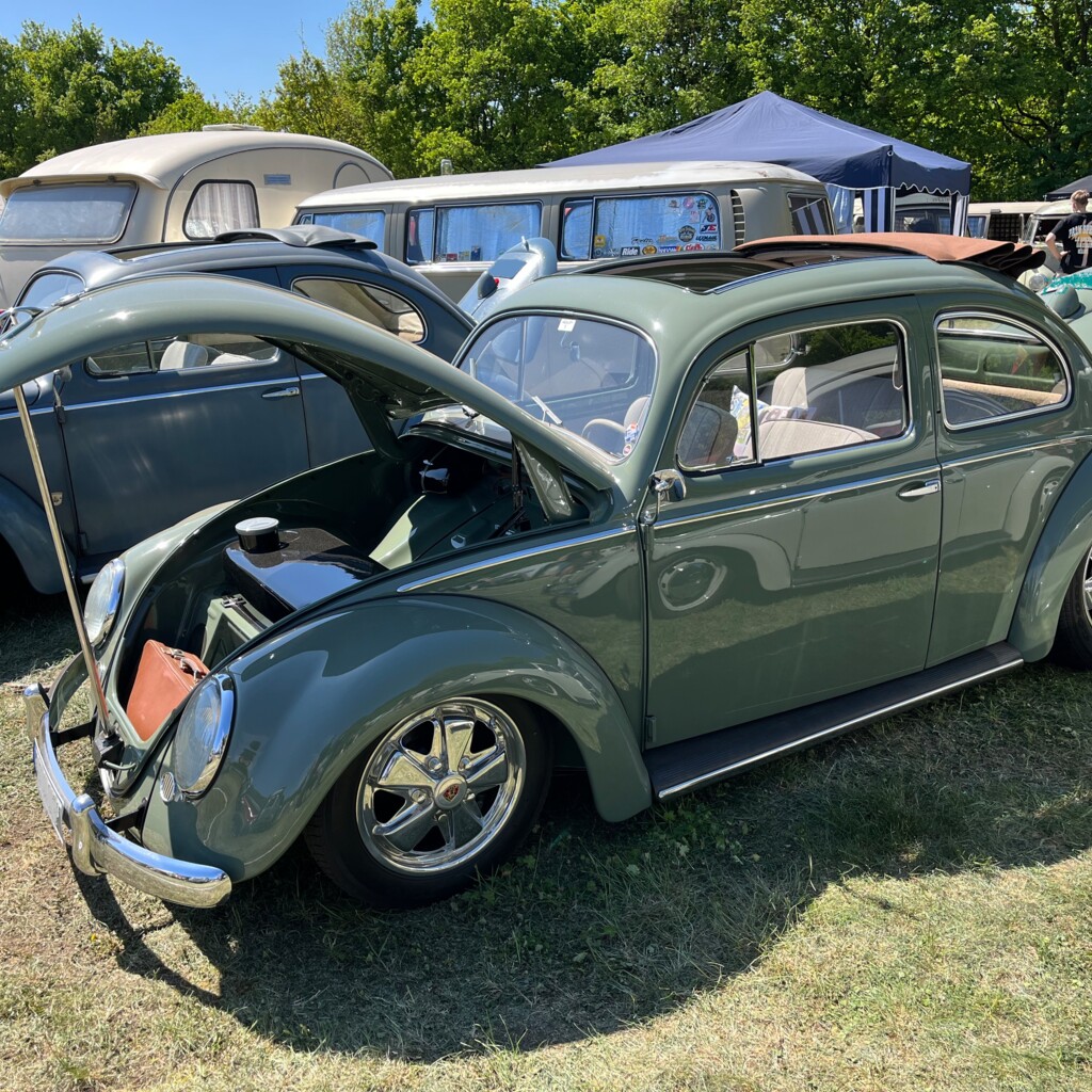 Käfertreffen am Speichersee Geeste 5 - Gemeinde Geeste