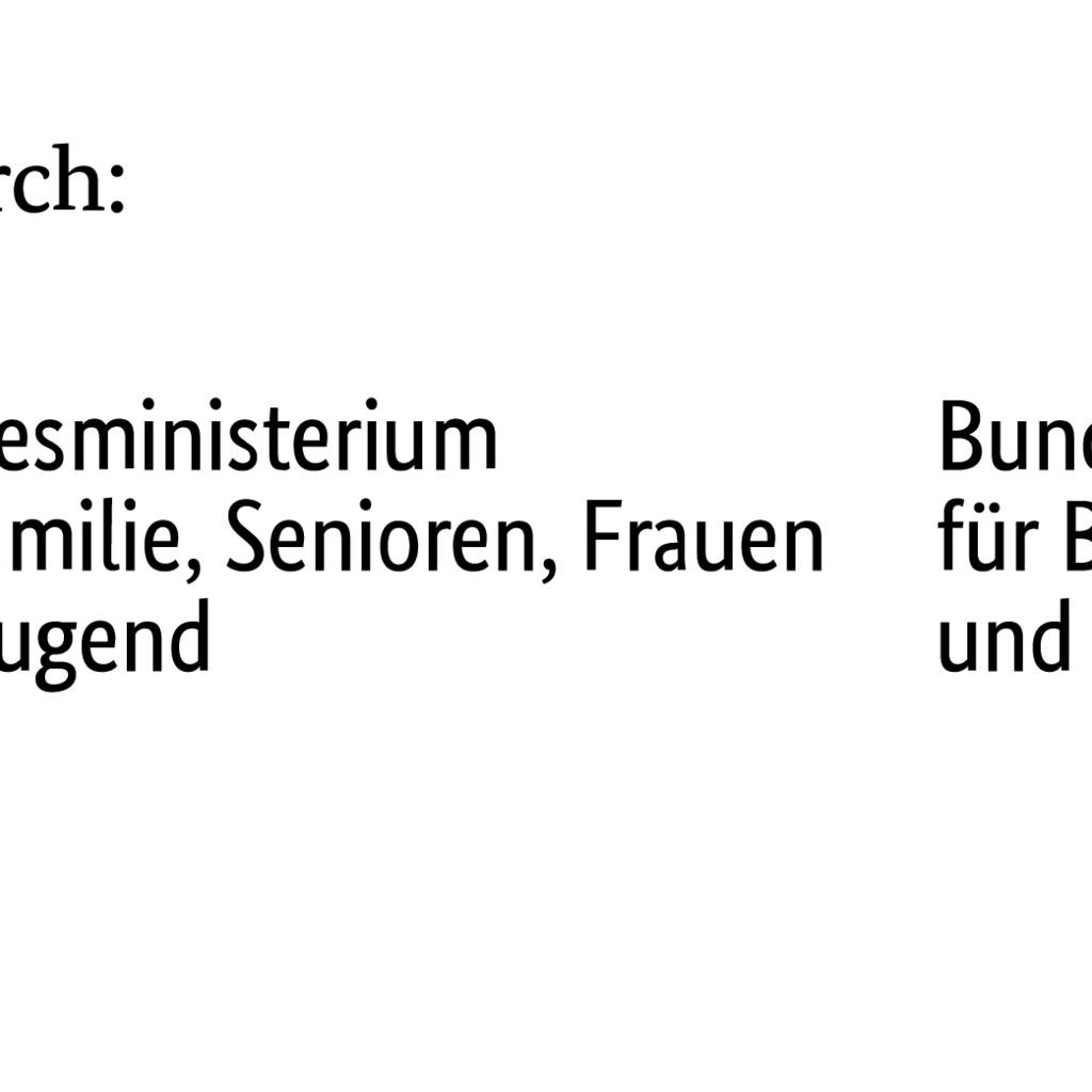 BMFSFJ_de_v1__BMBF_de_v1__Office_farbig_gefoerdert