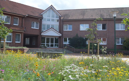 Rathaus im Frühling