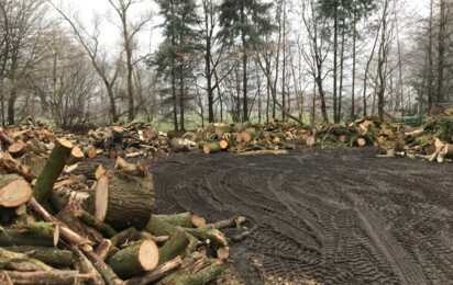 Gemeinde Geeste verkauf meistbietend Brennholz aufgeteilt in Lose  - Gemeinde Geeste