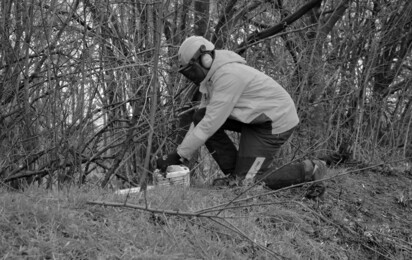 Sägearbeiten Bauhof