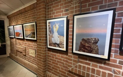 Einblick in die Ausstellung 1 - Gemeinde Geeste