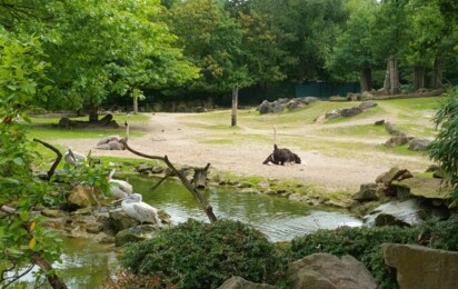 Ferienpass 2024 Zoo Strauß