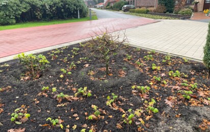 Stettiner Straße Planzarbeiten Gemeinde Geeste