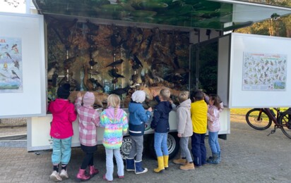 Waldjugendspiele Geeste 1 - Klimaschutz - Gemeinde Geeste