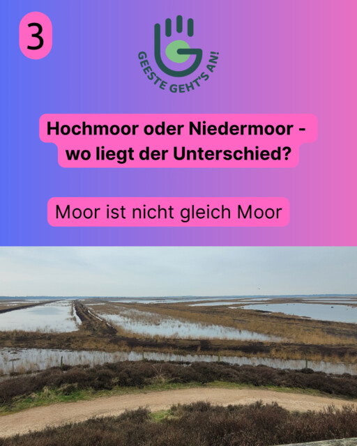 Moorschutz 3