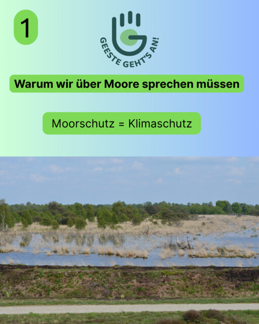 Moorschutz