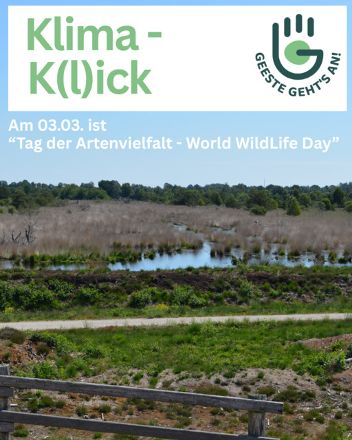 Klima - K(l)ick im März 2026