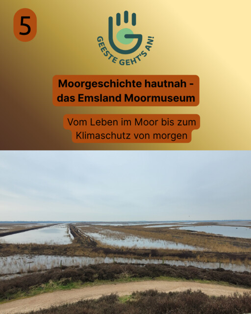 Moorschutz 5