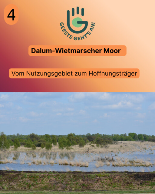 Moorschutz 4