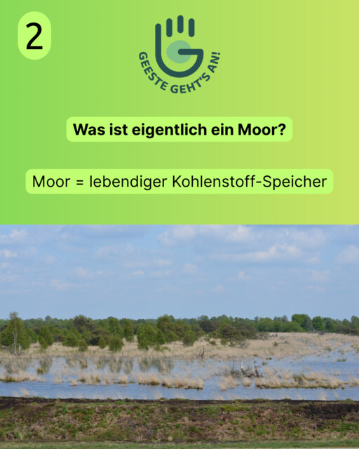 Moorschutz 2