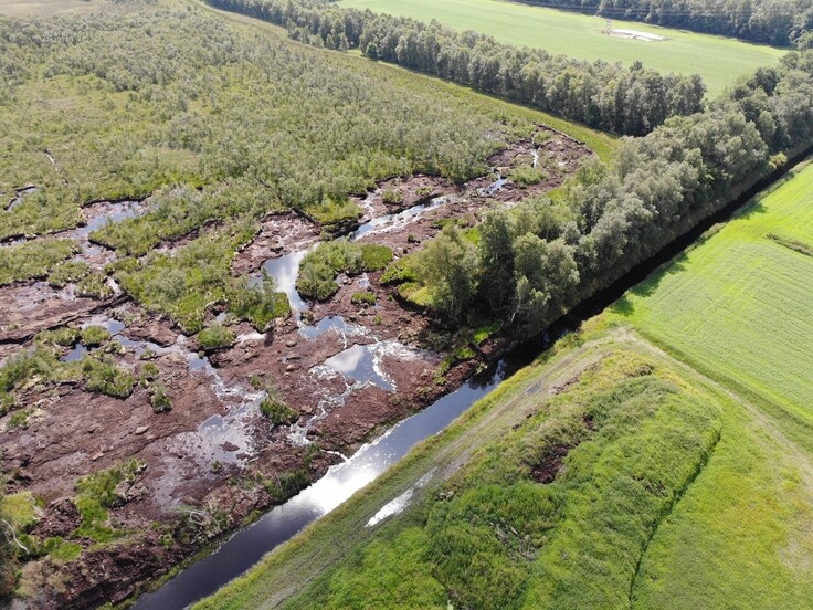 Meerkolk Sommer 2024 Bruchstelle im Naturschutzgebiet Bildrechte Staatl Moorverwaltung ArL Weser Ems