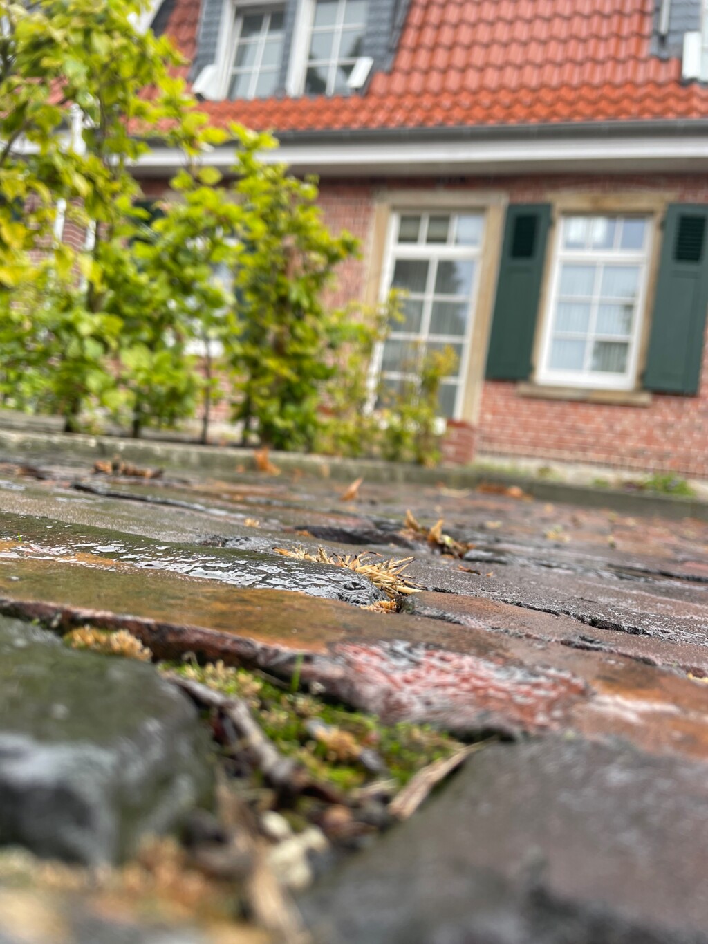 Pflastersteine Vorhof Gutshof Osterbrock