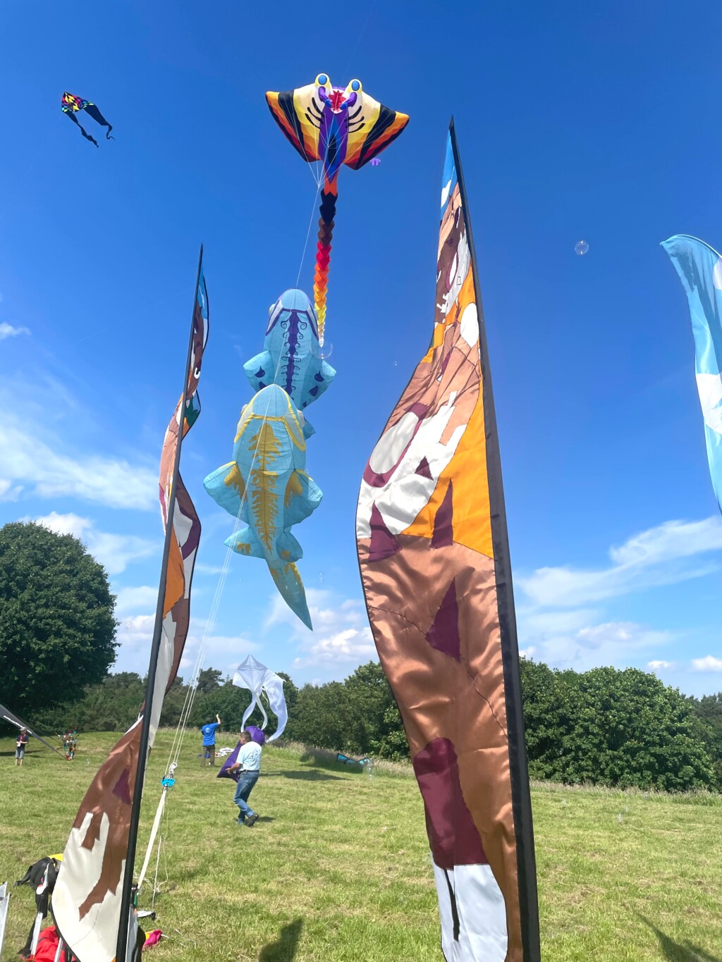 Drachenfest am Speichersee 2024