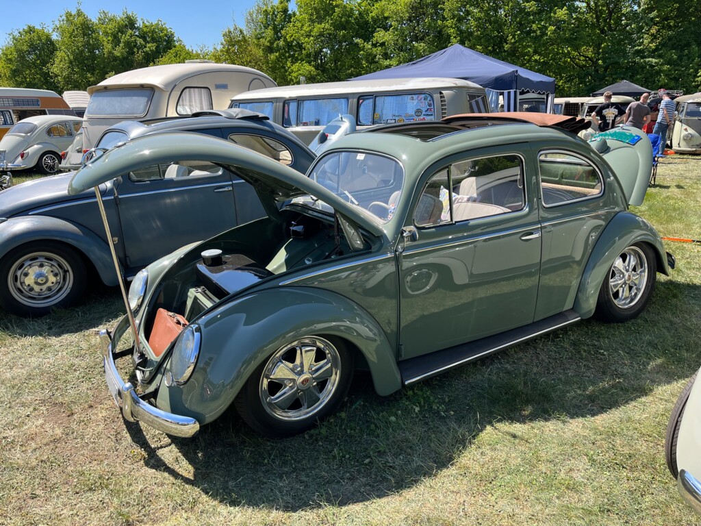 Käfertreffen am Speichersee Geeste 5 - Gemeinde Geeste